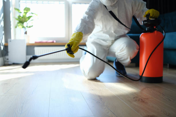 Trusted Unattended Death Cleanup service in Amherst, TX - Four Month Blood Cleanse